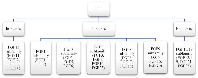 https://cdn.ncbi.nlm.nih.gov/pmc/blobs/f379/8622657/41e86d294adf/cells-10-03242-g002.jpg