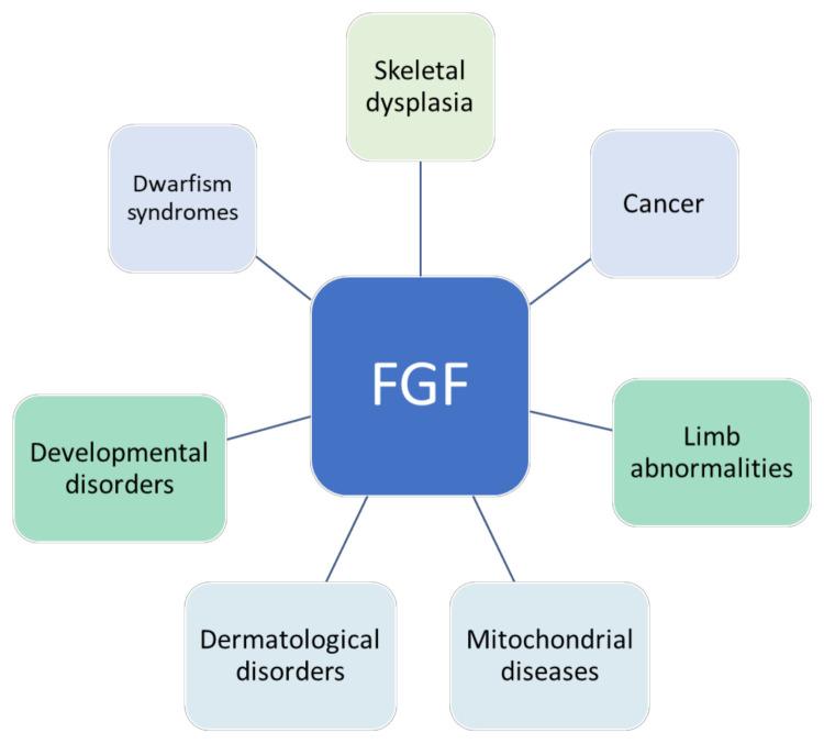 https://cdn.ncbi.nlm.nih.gov/pmc/blobs/f379/8622657/6bb83f0c6efe/cells-10-03242-g001.jpg