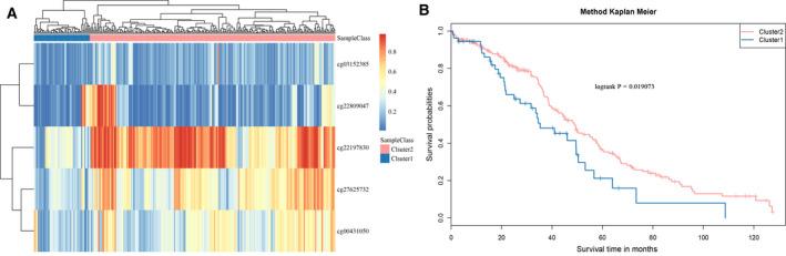 https://cdn.ncbi.nlm.nih.gov/pmc/blobs/f37a/7931230/1d06eb7dfb54/FEB4-11-851-g008.jpg