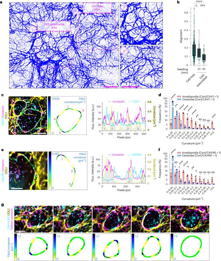 https://cdn.ncbi.nlm.nih.gov/pmc/blobs/f37b/10709148/a72f3c9fff85/41556_2023_1272_Fig2_HTML.jpg