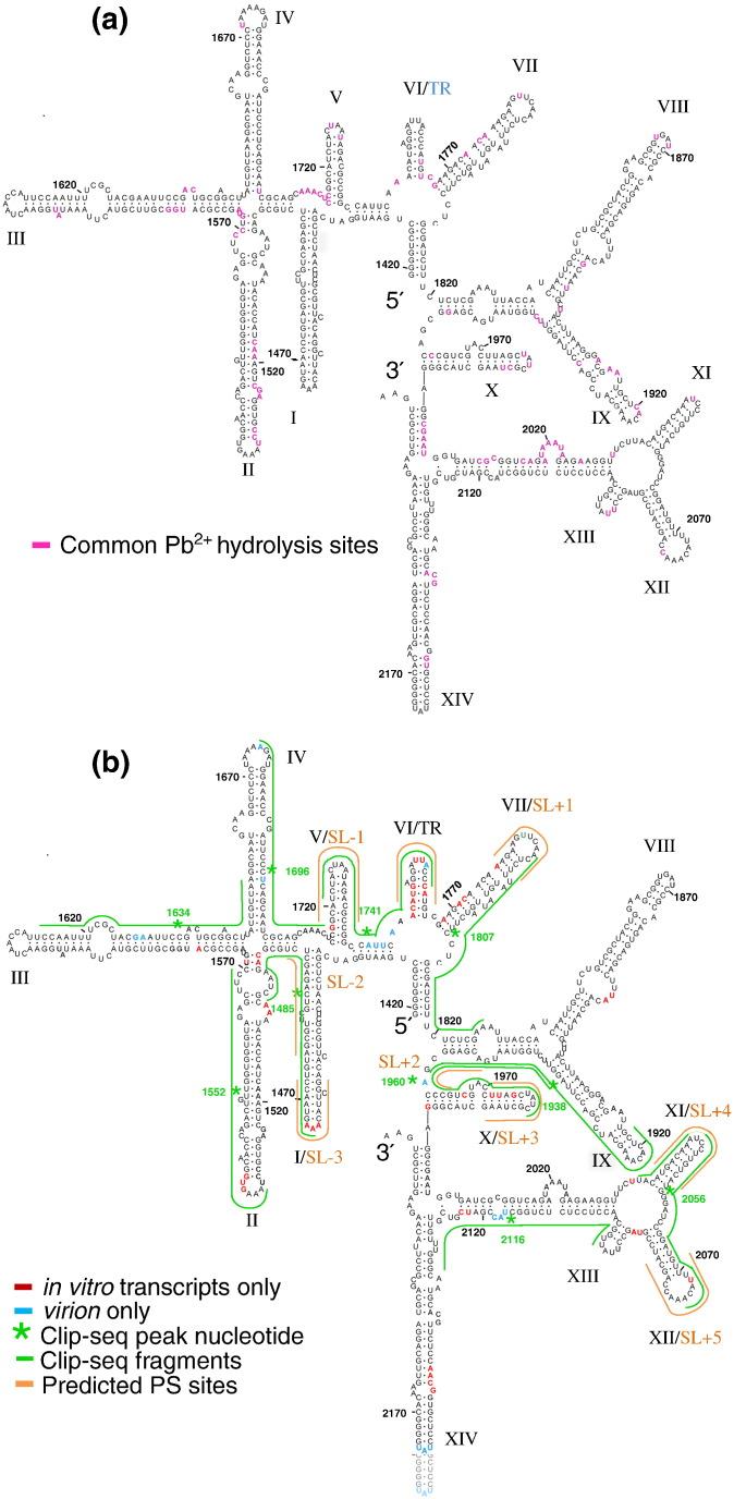 https://cdn.ncbi.nlm.nih.gov/pmc/blobs/f37b/4751978/bd08079d9985/gr6.jpg