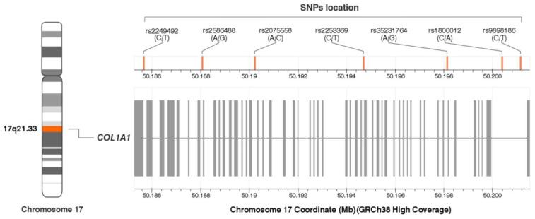https://cdn.ncbi.nlm.nih.gov/pmc/blobs/f37c/11642392/d0fd69518e0b/ijms-25-13221-g002.jpg
