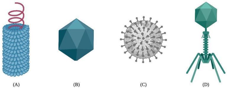 https://cdn.ncbi.nlm.nih.gov/pmc/blobs/f37d/9369363/77d4e89e0093/ijms-23-08579-g001.jpg
