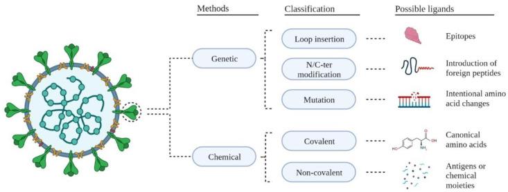 https://cdn.ncbi.nlm.nih.gov/pmc/blobs/f37d/9369363/b24e5ccd9110/ijms-23-08579-g006.jpg