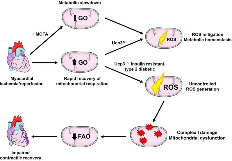 https://cdn.ncbi.nlm.nih.gov/pmc/blobs/f37e/6208686/274a119ef66e/395_2018_707_Fig8_HTML.jpg