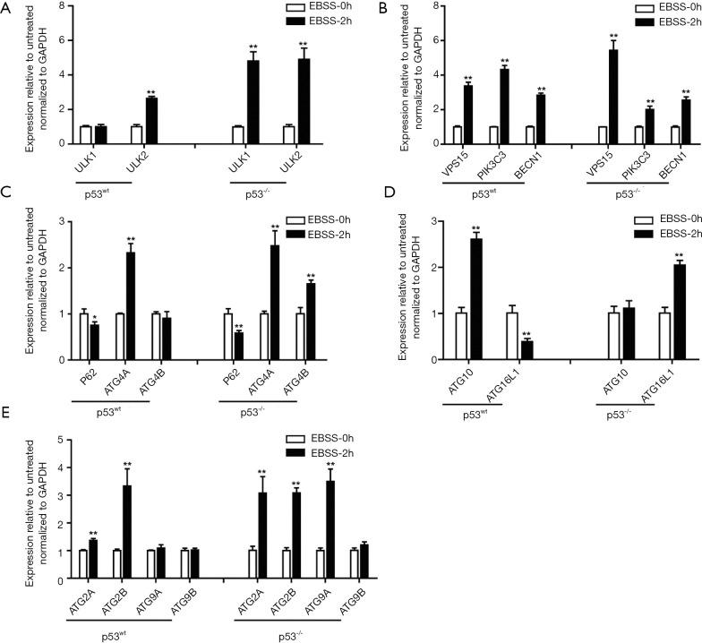 https://cdn.ncbi.nlm.nih.gov/pmc/blobs/f37e/8798480/2acf1bc5238a/tcr-08-03-876-f5.jpg