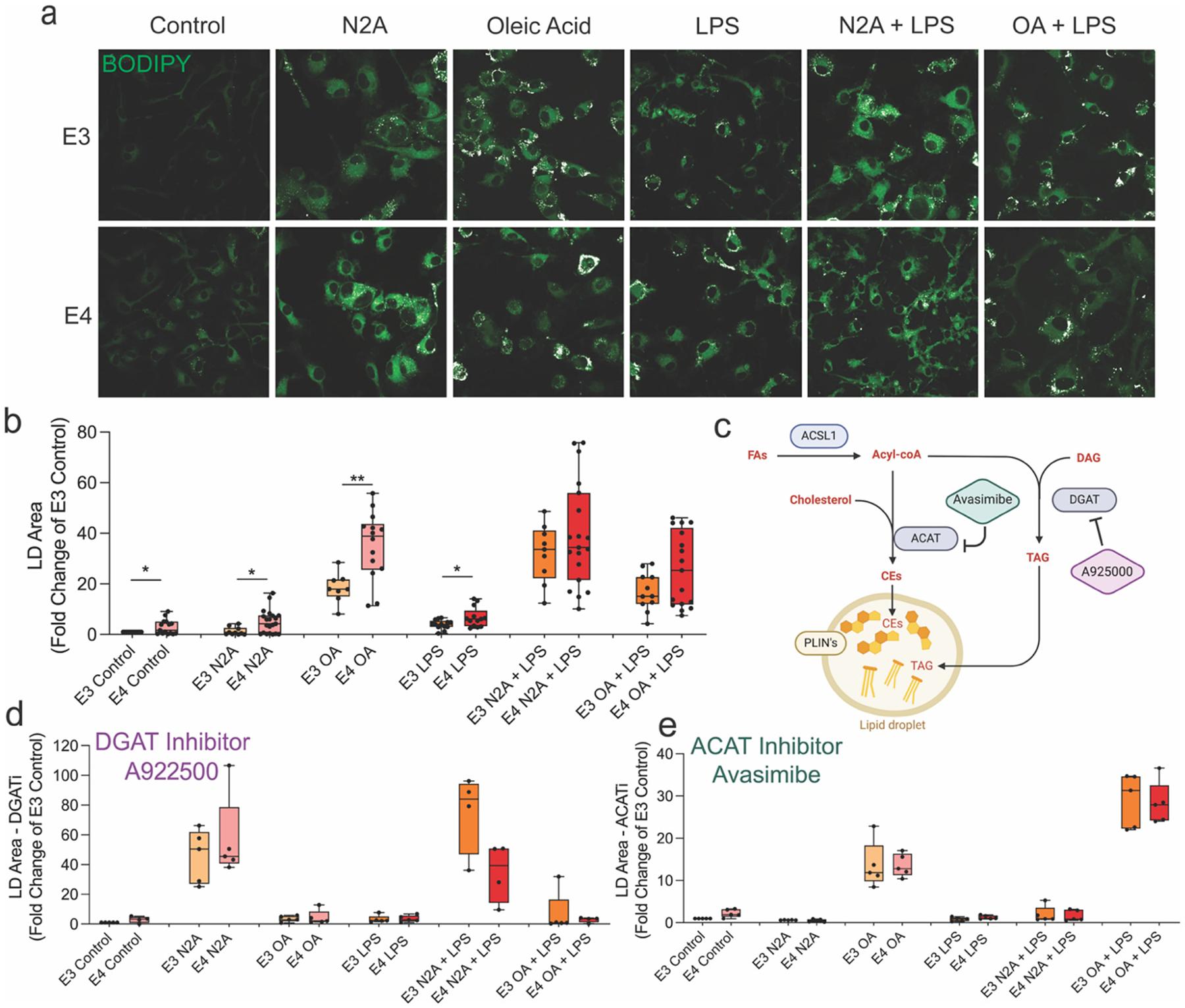 https://cdn.ncbi.nlm.nih.gov/pmc/blobs/f37f/12187248/5c73bf172f46/nihms-2090365-f0006.jpg
