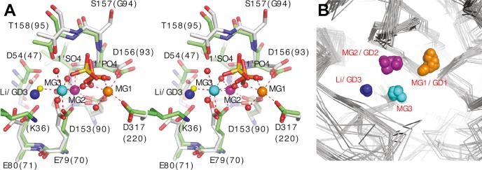 https://cdn.ncbi.nlm.nih.gov/pmc/blobs/f382/7948987/199b60dc418f/gr3.jpg