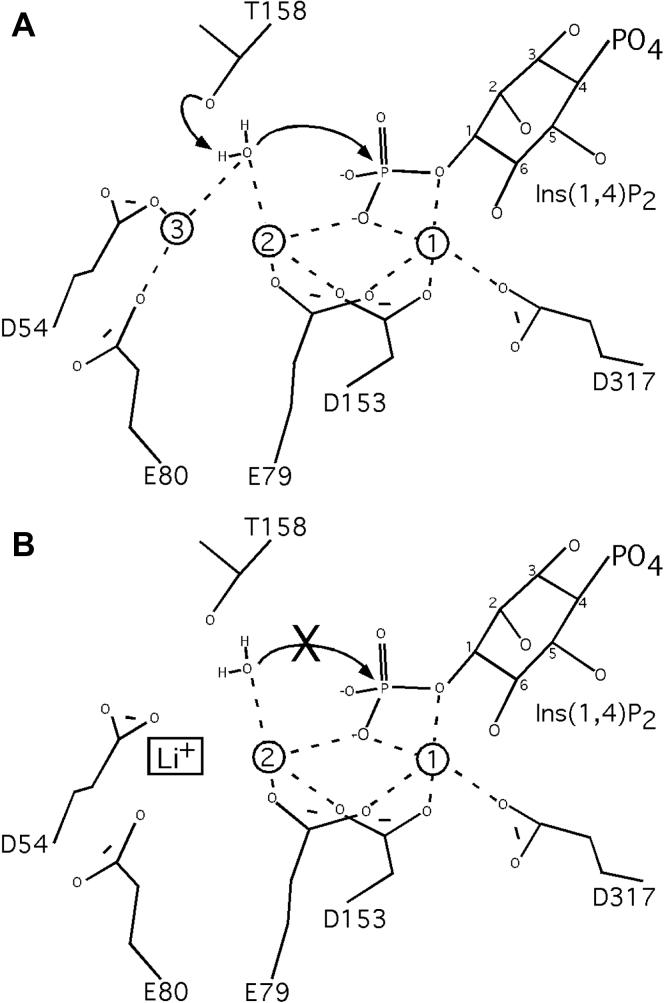 https://cdn.ncbi.nlm.nih.gov/pmc/blobs/f382/7948987/ddd02ec397f7/gr6.jpg