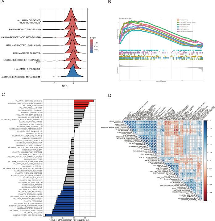 https://cdn.ncbi.nlm.nih.gov/pmc/blobs/f384/11978647/02bf4214e451/fonc-15-1565090-g006.jpg