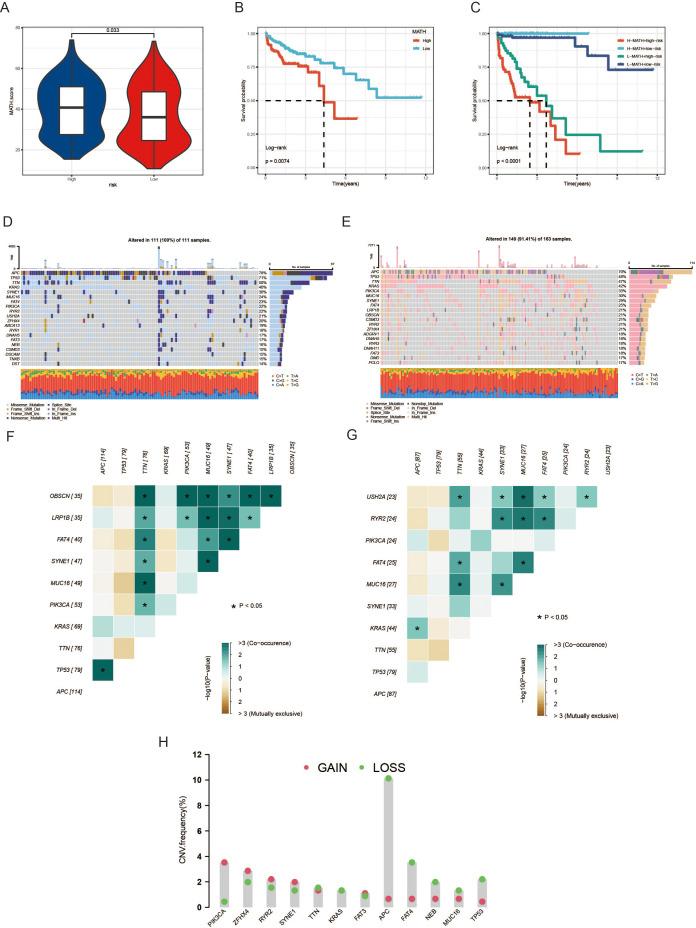 https://cdn.ncbi.nlm.nih.gov/pmc/blobs/f384/11978647/1f073ea175ec/fonc-15-1565090-g007.jpg
