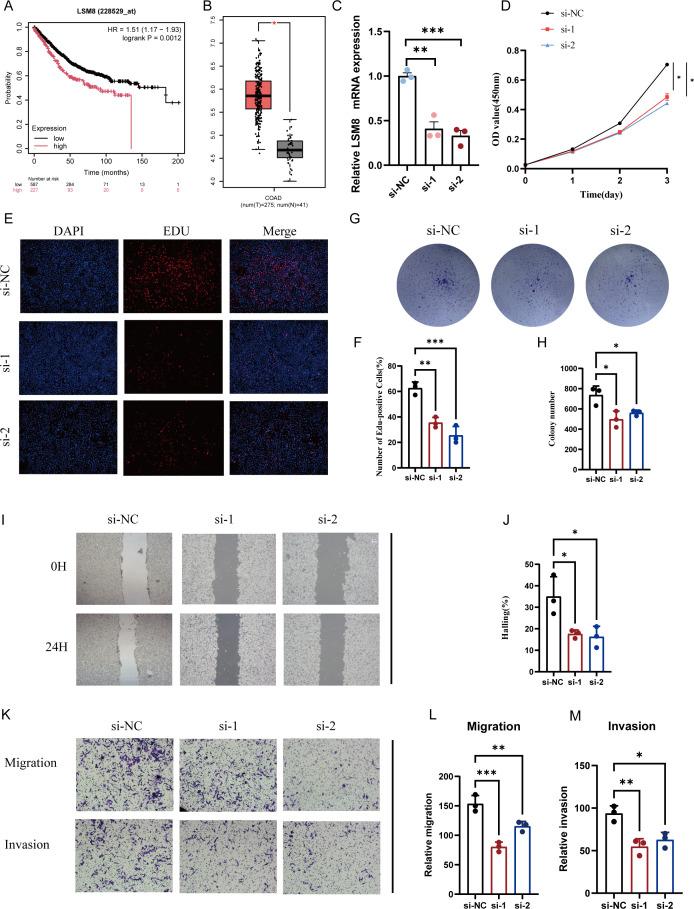 https://cdn.ncbi.nlm.nih.gov/pmc/blobs/f384/11978647/a7bf2bb67af2/fonc-15-1565090-g009.jpg