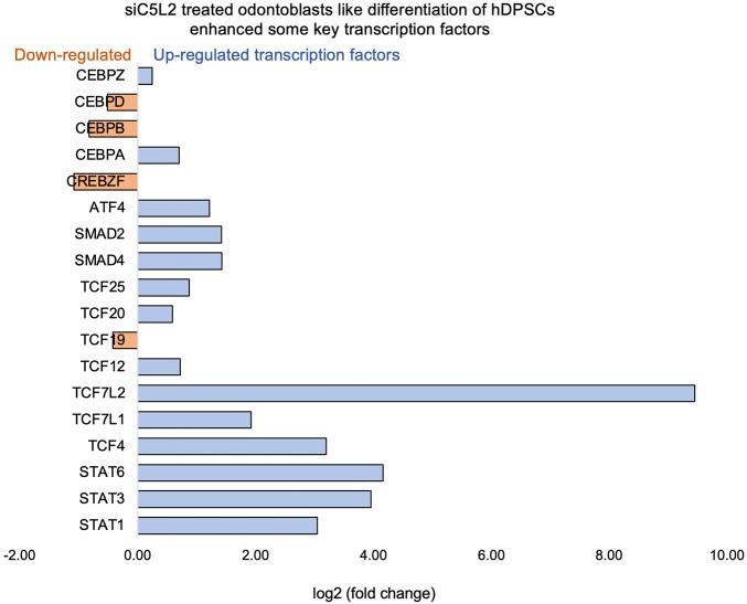 https://cdn.ncbi.nlm.nih.gov/pmc/blobs/f386/12174388/0fd59dcb1021/fgene-16-1592599-g007.jpg