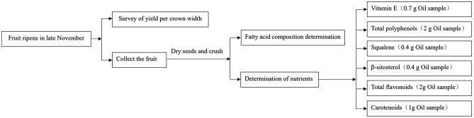 https://cdn.ncbi.nlm.nih.gov/pmc/blobs/f386/9530227/73bf9cba5ce4/41598_2022_20576_Fig3_HTML.jpg