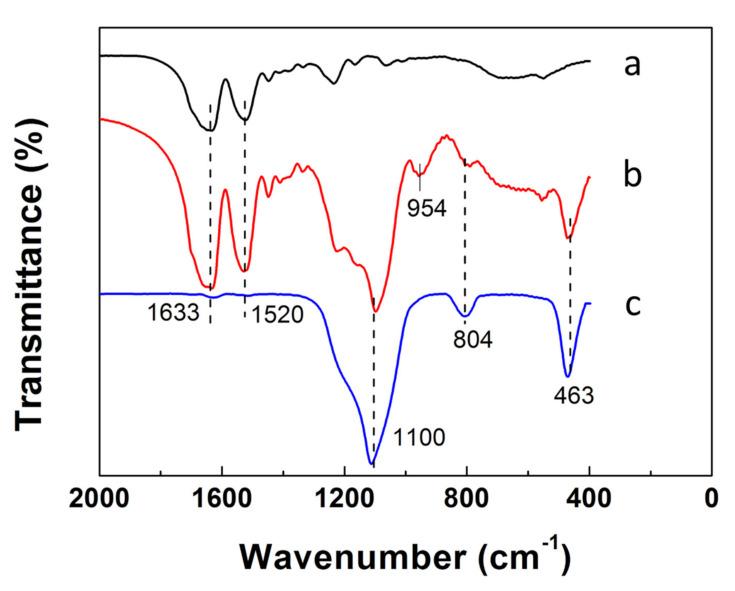 https://cdn.ncbi.nlm.nih.gov/pmc/blobs/f387/7923156/b12765a0310f/molecules-26-01073-g004.jpg