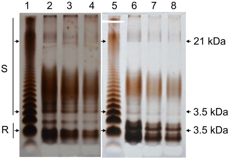 https://cdn.ncbi.nlm.nih.gov/pmc/blobs/f388/11901934/b8f98f292029/molecules-30-01080-g003.jpg