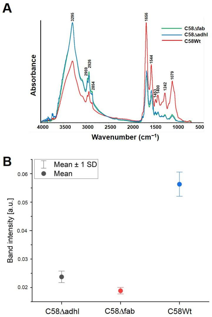 https://cdn.ncbi.nlm.nih.gov/pmc/blobs/f388/11901934/cdfe0d13759d/molecules-30-01080-g006.jpg