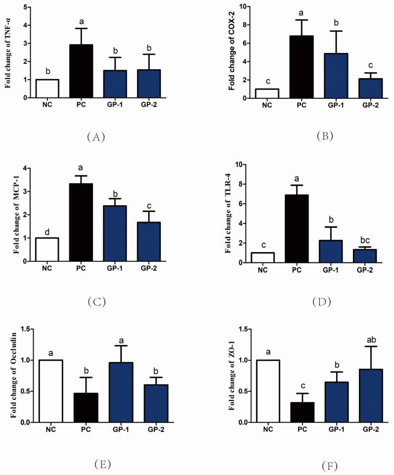 https://cdn.ncbi.nlm.nih.gov/pmc/blobs/f38e/9003490/0a98abce0a6c/nutrients-14-01479-g006.jpg