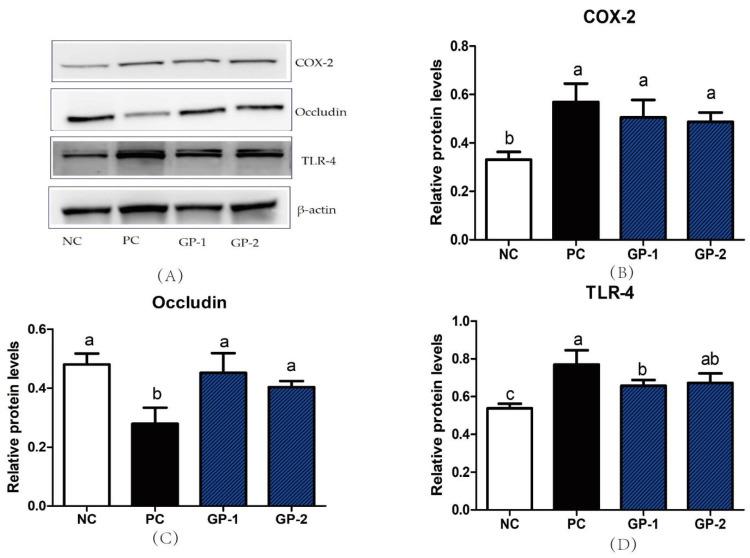 https://cdn.ncbi.nlm.nih.gov/pmc/blobs/f38e/9003490/434445d72b69/nutrients-14-01479-g007.jpg