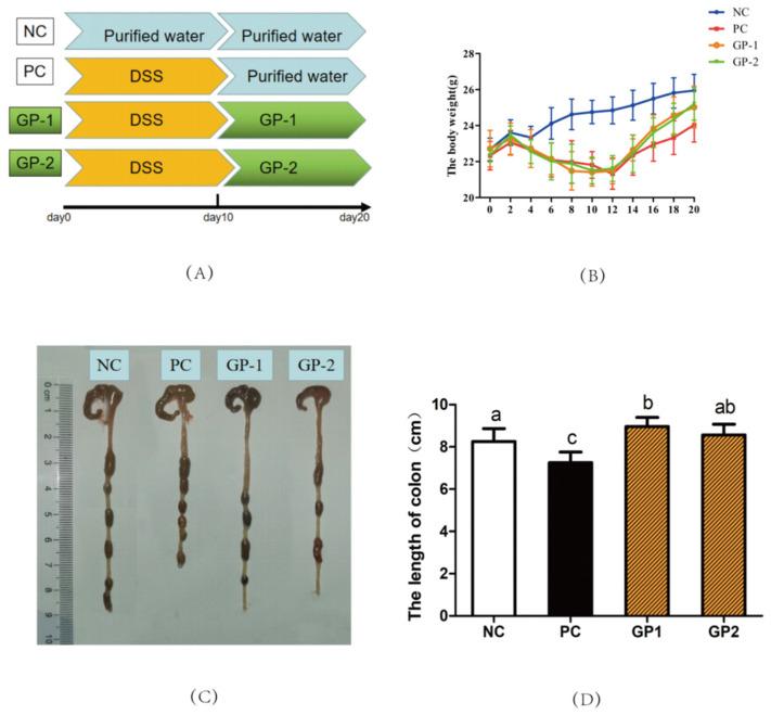 https://cdn.ncbi.nlm.nih.gov/pmc/blobs/f38e/9003490/e5aad189ddbf/nutrients-14-01479-g003.jpg