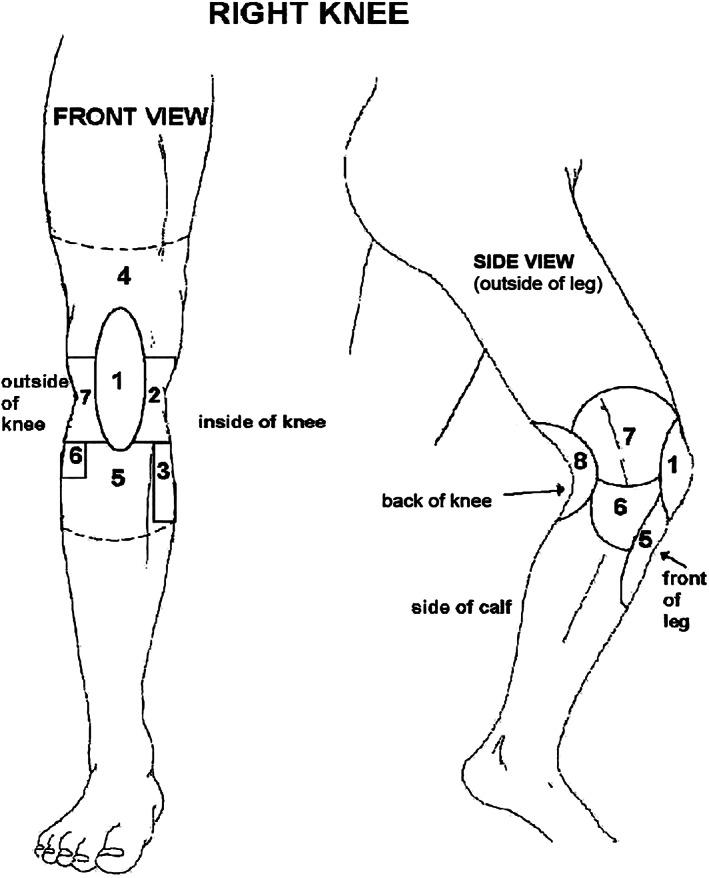 https://cdn.ncbi.nlm.nih.gov/pmc/blobs/f393/9545465/67bc6242a6a7/ACR-74-1533-g001.jpg
