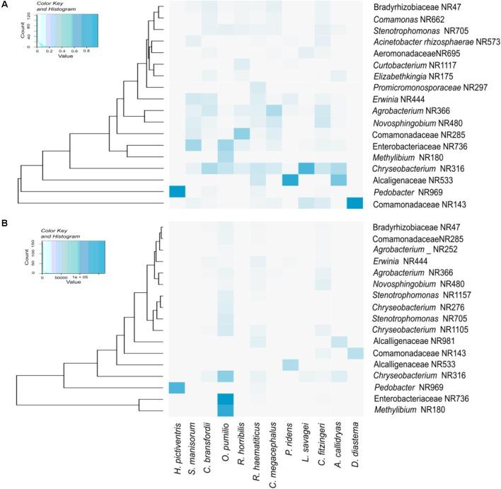 https://cdn.ncbi.nlm.nih.gov/pmc/blobs/f395/6129598/52d70dfaaf96/fmicb-09-02001-g002.jpg