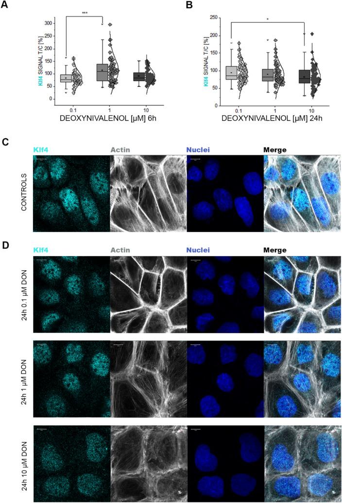 https://cdn.ncbi.nlm.nih.gov/pmc/blobs/f396/8166681/097d78600eb8/204_2021_3042_Fig2_HTML.jpg