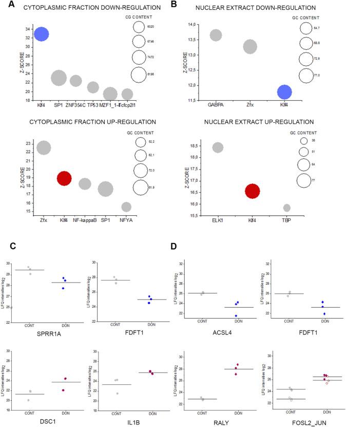 https://cdn.ncbi.nlm.nih.gov/pmc/blobs/f396/8166681/91fdf1115e0c/204_2021_3042_Fig6_HTML.jpg