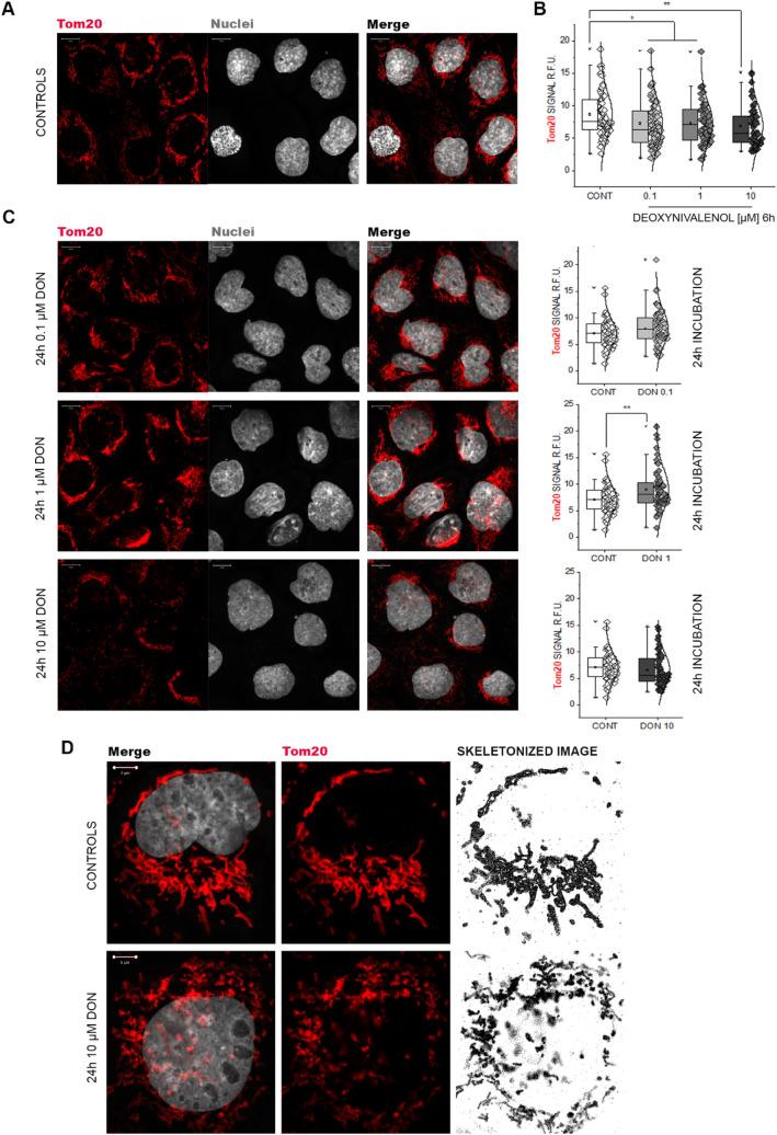 https://cdn.ncbi.nlm.nih.gov/pmc/blobs/f396/8166681/c46a055ebc74/204_2021_3042_Fig4_HTML.jpg
