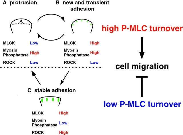 https://cdn.ncbi.nlm.nih.gov/pmc/blobs/f397/2172229/979ae6ce4883/200306172f7.jpg