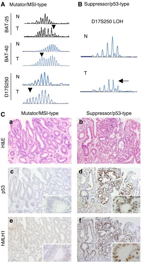 https://cdn.ncbi.nlm.nih.gov/pmc/blobs/f397/2360225/d8e0088026c6/6603532f1.jpg