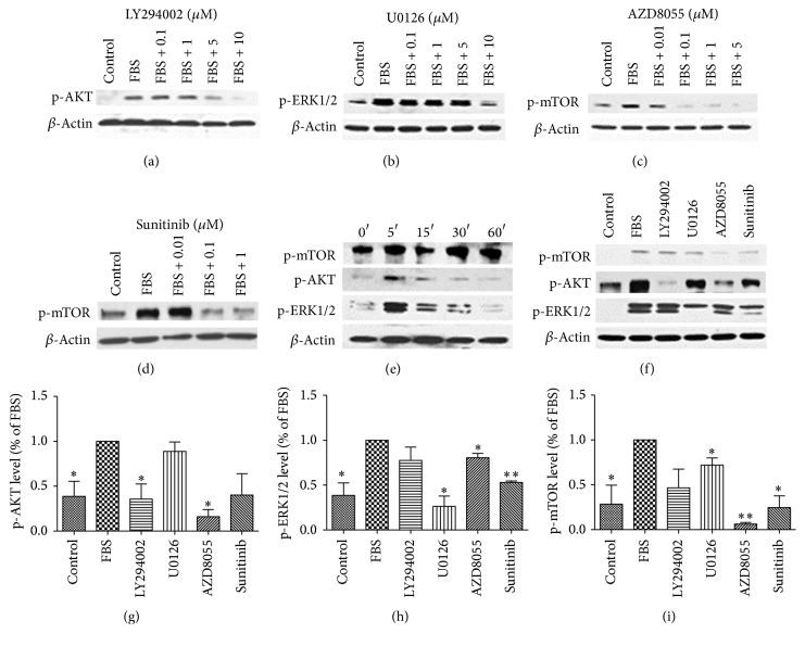 https://cdn.ncbi.nlm.nih.gov/pmc/blobs/f397/5136400/6692301ab4cc/IJE2016-5286972.002.jpg