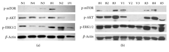 https://cdn.ncbi.nlm.nih.gov/pmc/blobs/f397/5136400/c7307c37a5b0/IJE2016-5286972.001.jpg