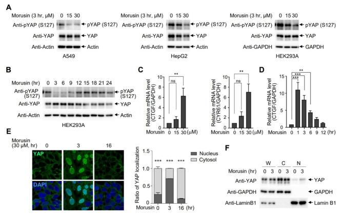 https://cdn.ncbi.nlm.nih.gov/pmc/blobs/f398/11744988/3b21d226de9f/12860_2025_531_Fig1_HTML.jpg