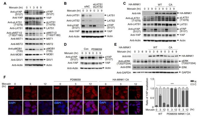 https://cdn.ncbi.nlm.nih.gov/pmc/blobs/f398/11744988/86a3ee855542/12860_2025_531_Fig2_HTML.jpg