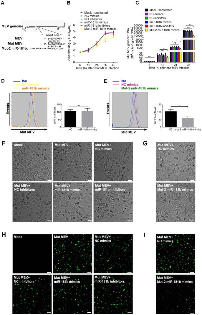 https://cdn.ncbi.nlm.nih.gov/pmc/blobs/f399/3859502/53a2a5b7cb0d/pone.0081515.g005.jpg
