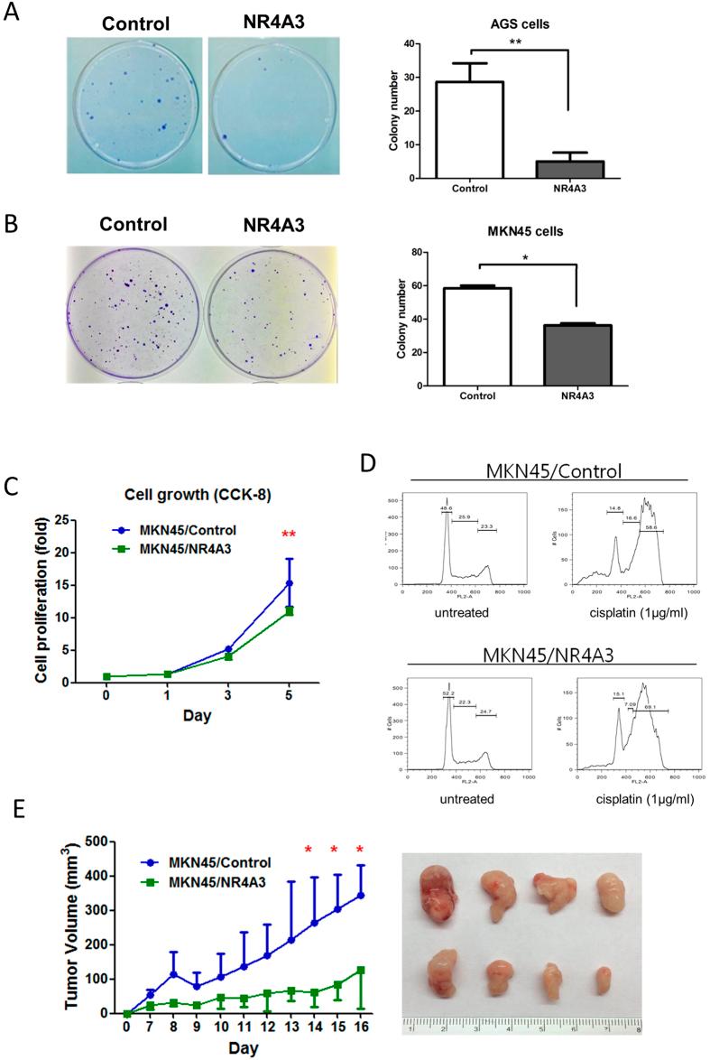 https://cdn.ncbi.nlm.nih.gov/pmc/blobs/f399/4985659/366845f96900/srep31690-f4.jpg