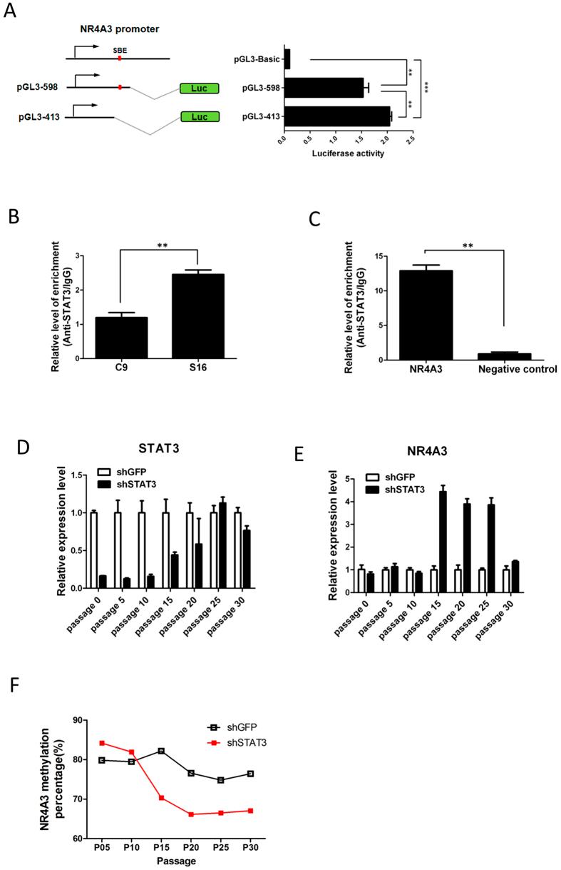 https://cdn.ncbi.nlm.nih.gov/pmc/blobs/f399/4985659/91c6d859dfd8/srep31690-f3.jpg