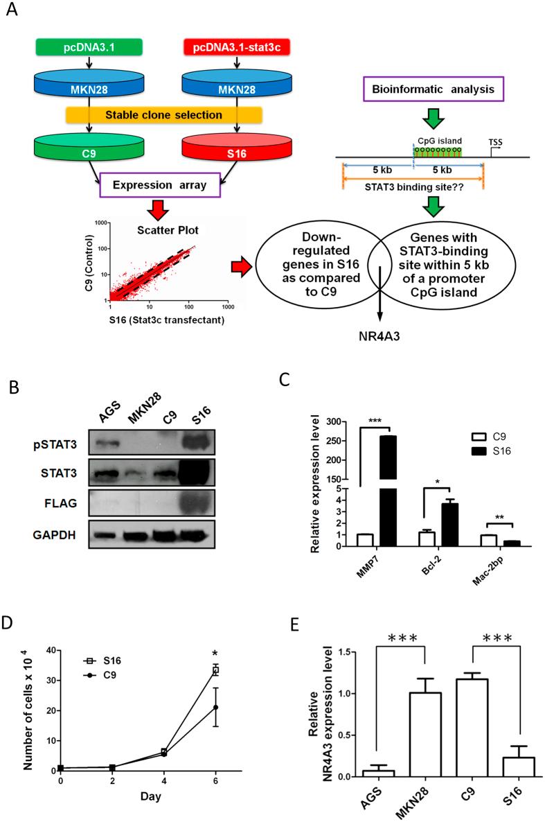 https://cdn.ncbi.nlm.nih.gov/pmc/blobs/f399/4985659/cb616d18882e/srep31690-f1.jpg