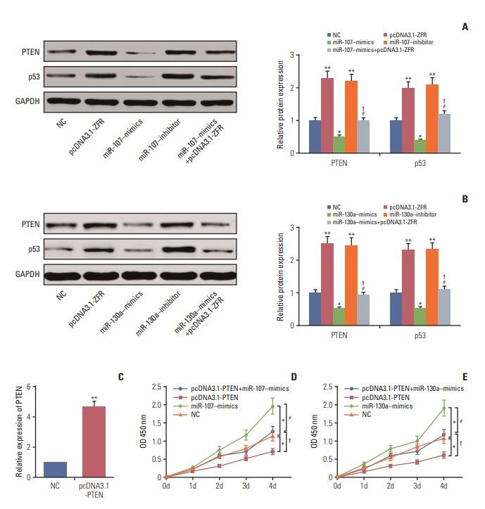 https://cdn.ncbi.nlm.nih.gov/pmc/blobs/f399/6192924/99a8b679b854/crt-2017-537f9.jpg