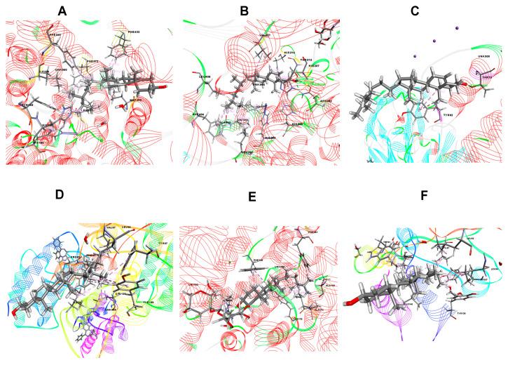 https://cdn.ncbi.nlm.nih.gov/pmc/blobs/f39a/7587548/73091a12dada/molecules-25-04737-g006.jpg