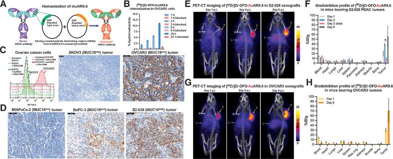 https://cdn.ncbi.nlm.nih.gov/pmc/blobs/f39b/9377739/40d099e93c14/948fig5.jpg