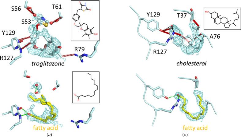 https://cdn.ncbi.nlm.nih.gov/pmc/blobs/f39f/12315583/221c53ede3d6/d-81-00423-fig4.jpg