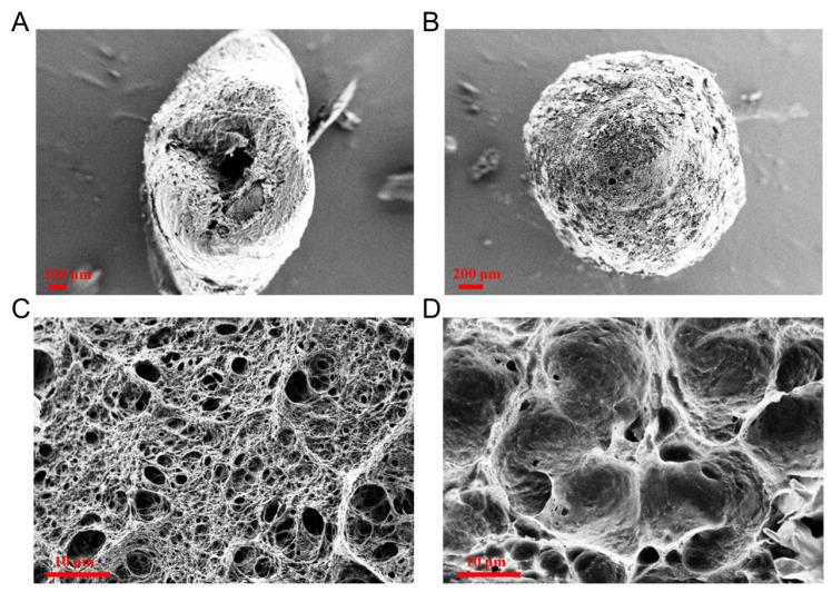 https://cdn.ncbi.nlm.nih.gov/pmc/blobs/f3a3/10970608/b575c30b2e6d/gels-10-00160-g003.jpg