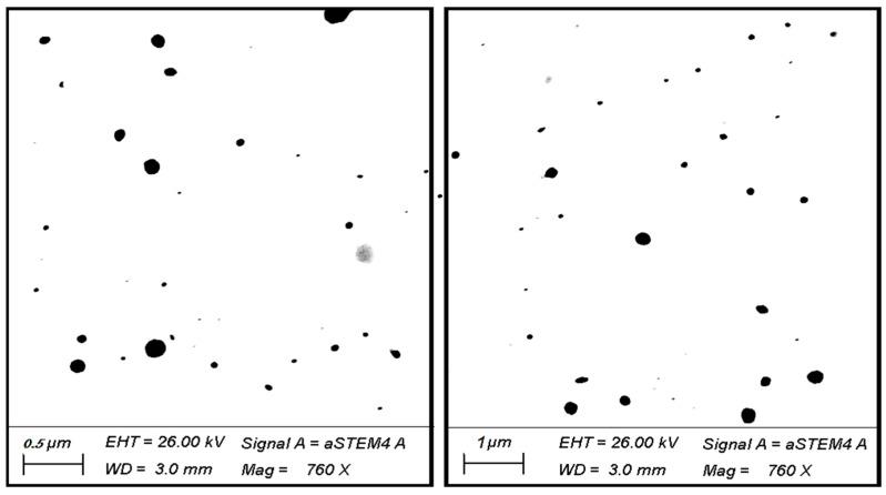 https://cdn.ncbi.nlm.nih.gov/pmc/blobs/f3a4/10057972/52f1b0d83894/microorganisms-11-00733-g002.jpg