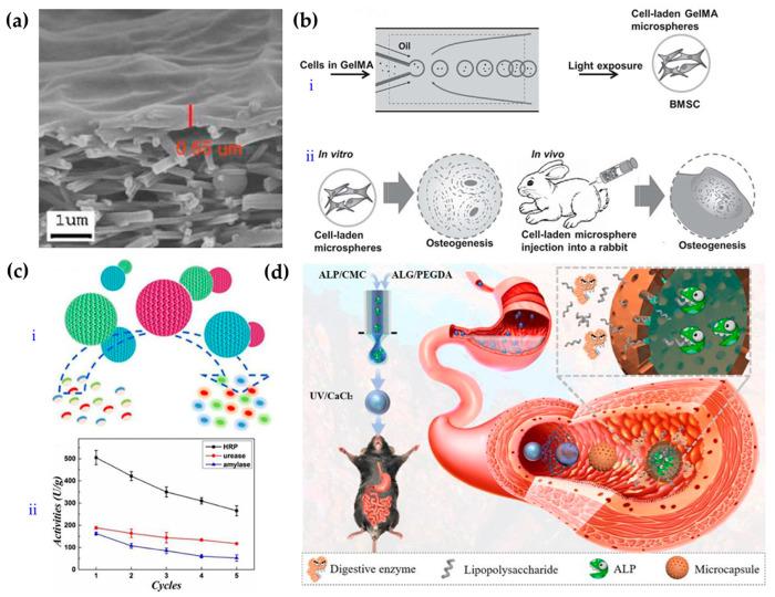 https://cdn.ncbi.nlm.nih.gov/pmc/blobs/f3a4/9026461/283f92df47d6/gels-08-00216-g004.jpg