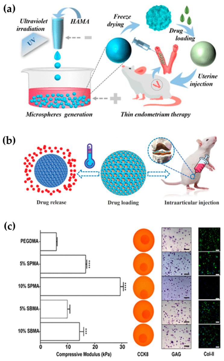 https://cdn.ncbi.nlm.nih.gov/pmc/blobs/f3a4/9026461/a9a86c707912/gels-08-00216-g007.jpg