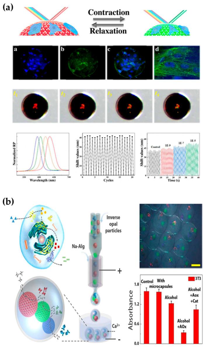 https://cdn.ncbi.nlm.nih.gov/pmc/blobs/f3a4/9026461/aa443ab36338/gels-08-00216-g008.jpg
