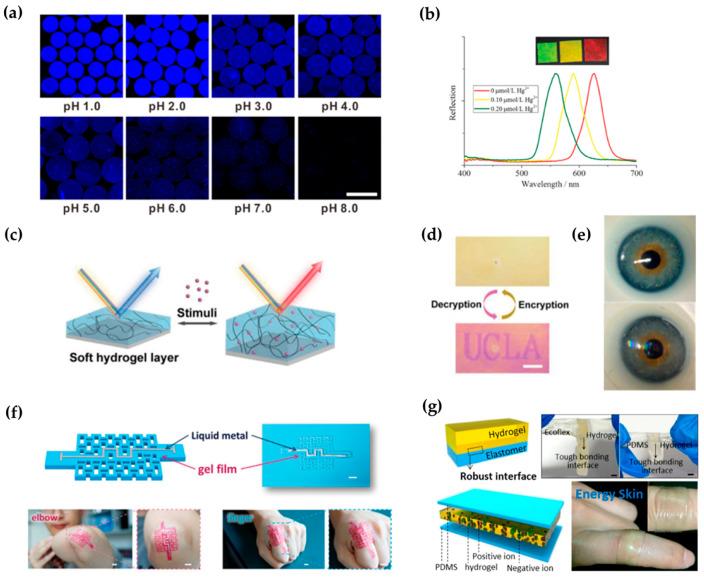 https://cdn.ncbi.nlm.nih.gov/pmc/blobs/f3a4/9026461/cfffc99ac670/gels-08-00216-g006.jpg