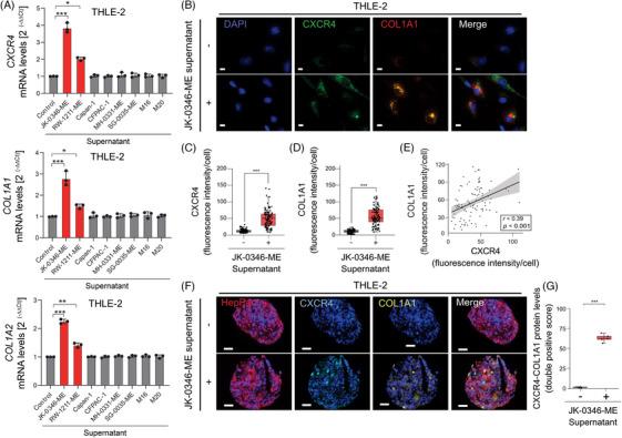 https://cdn.ncbi.nlm.nih.gov/pmc/blobs/f3a5/11534464/6466f2859538/CTM2-14-e70067-g009.jpg